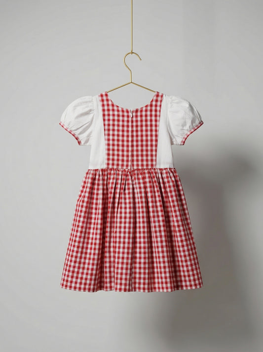The Picnic Dress in Red and White Gingham