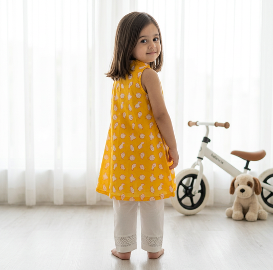 Chidiya Kurta Pant Set in Yellow